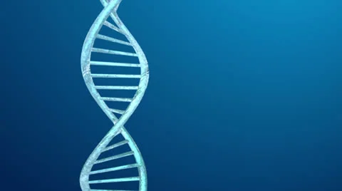 DNA 動画素材 22752532