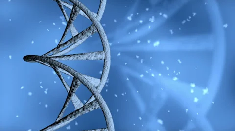 DNA Stock Footage 33848500
