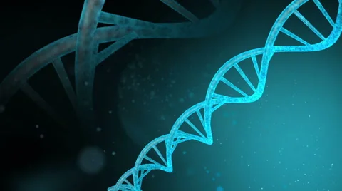 DNA 스톡 동영상 59747546