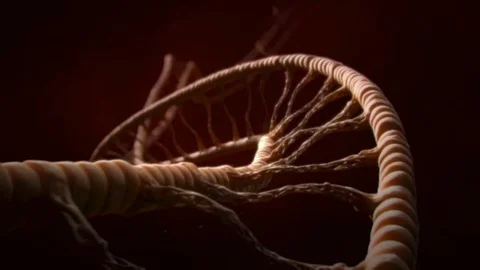 DNA Stock Footage 88121470