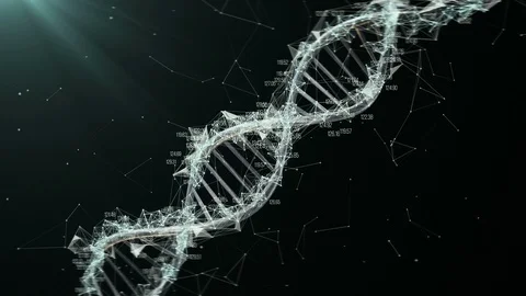 DNA Stock Footage 94121518