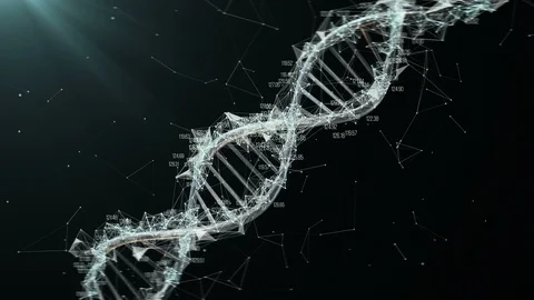 DNA Stock Footage 94121653