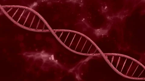 DNA Video stock 100338974