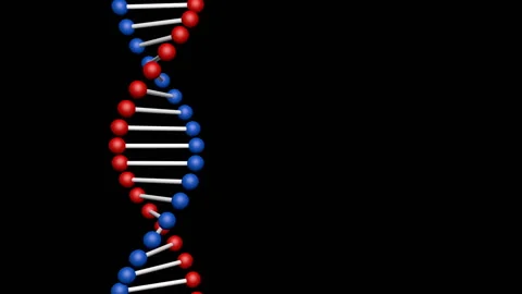 DNA Stock Footage 109591303