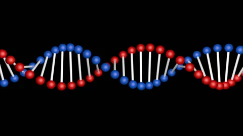 DNA Stock Footage 109591308