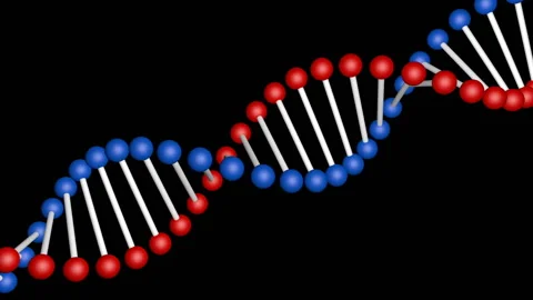 DNA Stock Footage