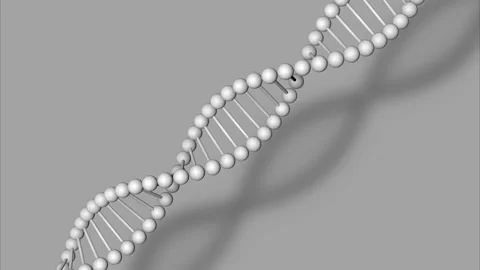 DNA Stock Footage 237369888