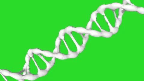 DNA Stock Footage 249998041