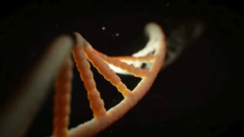 DNA Stock Footage 279433170