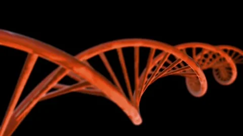 DNA Stock Footage 311324086