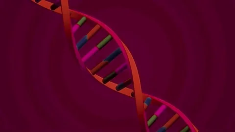 Dna Stock Footage 311324088
