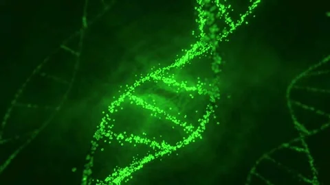 DNA Stock Footage 311324138