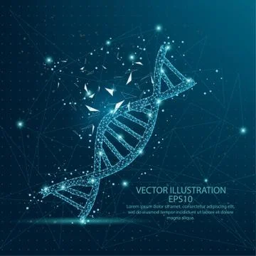 DNA form low poly wire frame on blue background. Stock Illustration