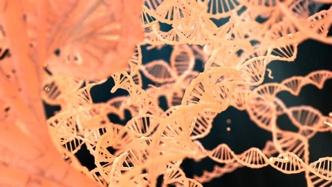 DNA Gene therapy and genetic engineering of human genes for medical research Stock Footage