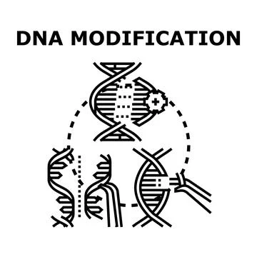 Dna genetic engineering modification black concept vector Stock Illustration