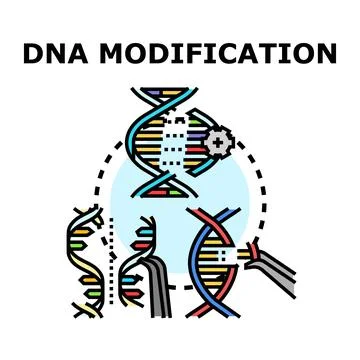 Dna genetic engineering modification color concept vector Stockillustratie