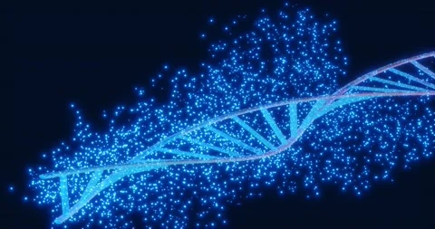 DNA genetic human code conceptual spiral double helix shape, guanine, adeni.. Stock Footage 229640446