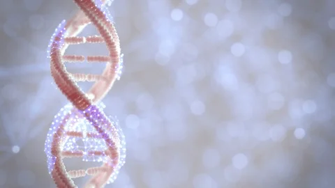 DNA the genetic material Turntable Loop Stock Footage 103879838