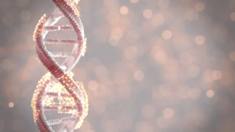 DNA the genetic material Turntable Loop Stock Footage 103881523