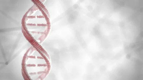 DNA the genetic material Turntable Loop Stock Footage 104000269