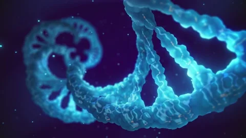 DNA genetic testing and analysis concept Stock Footage 161713478
