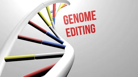 DNA genome editing concept animation Stock Footage 90518147