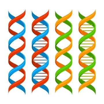 DNA Genome Molecules Set. Vector イラスト素材