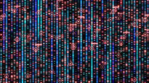 DNA Genome sequencing the bases of a fragment of DNA for gene therapy  Stock Illustration