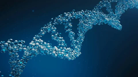 DNA glass cells molecule structure.DNA chain rotation. Stock Footage 84442952