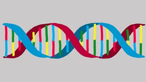 DNA Hand Drawn Doodle Animation Stock Footage 88153680