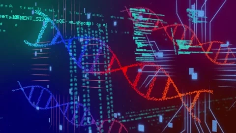 DNA helices rising from code streams and meeting at circuit hub while showing Stock Footage 332704511