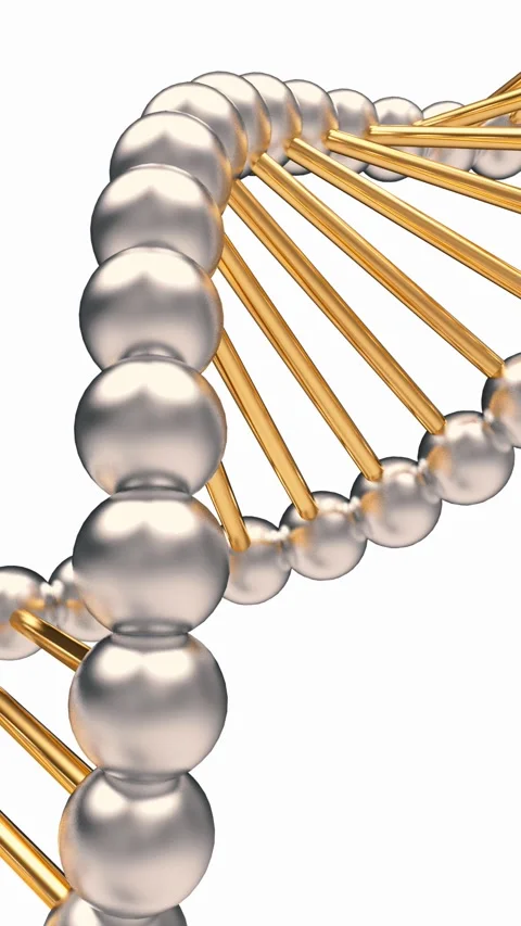 DNA helices with rotating silver spheres, 3D rendering. Stock-Footage 335405335