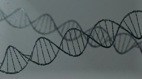 DNA helix 4k Stock Footage 146145373