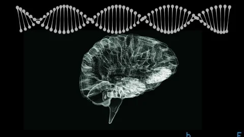 DNA helix and human brain Stock Footage 107651409