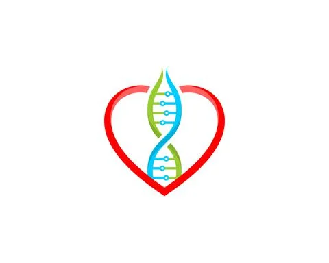 DNA Helix and tech inside the love shape イラスト素材