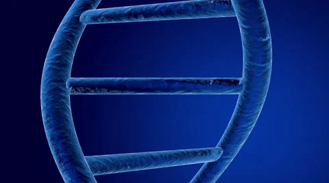 DNA Helix Animation Stock Footage 66862828