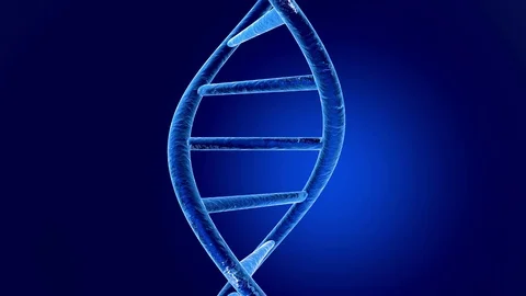 DNA Helix Animation Video stock 75540543