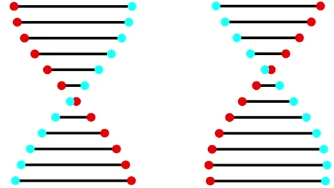 DNA Helix Animation Two Red Cyan on White 스톡 동영상 336087763