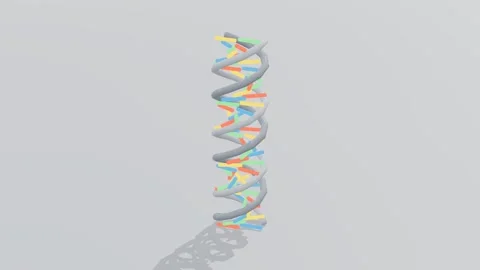 Dna helix biotech 3d loop white background 3D animation seamless loop Видео 341848828