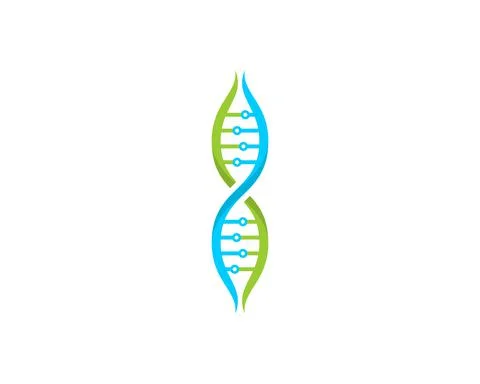 DNA Helix with circuit technology inside Stock Illustration