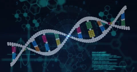 DNA helix entering left, rotating scrolling code, pulsing backbone scanning for Stock Footage 328252127
