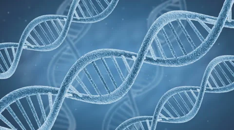 DNA helix Stock Footage 56060241