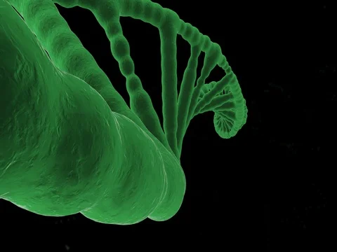 DNA Helix Stock Footage 83711877