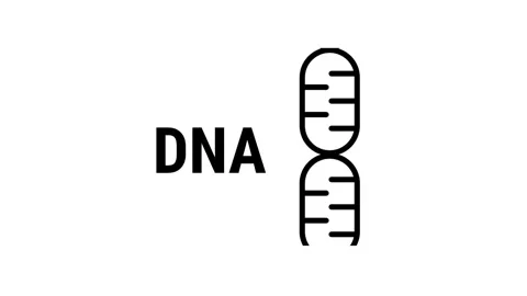 DNA Helix Icon Stock Footage 343508077