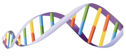 DNA helix イラスト素材
