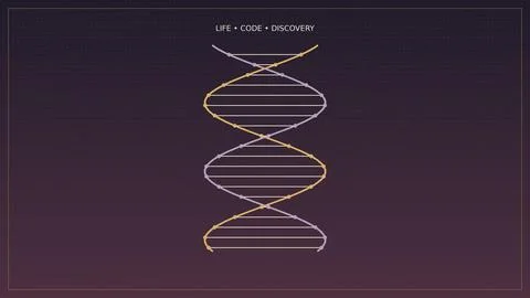 DNA helix illustration with life code discovery text on dark purple backgroun Stock Illustration