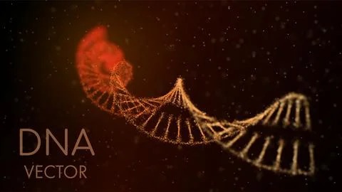 DNA helix in a medium of particles. Depth of field. 3D. Medical science Stock Illustration