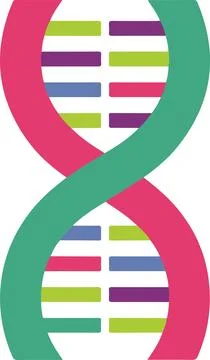 DNA helix, minimal simple vector illustration Illustrazione stock