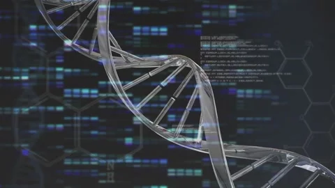 DNA helix model appearing and rotating visualizing genetics while code-hexagon Stock Footage 317260486