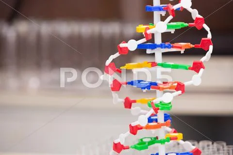 Dna helix model Stock Photos